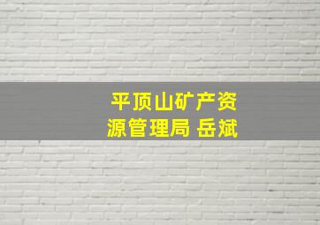 平顶山矿产资源管理局 岳斌